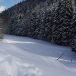 UN SÉJOUR A LA MONTAGNE Turckheim 2