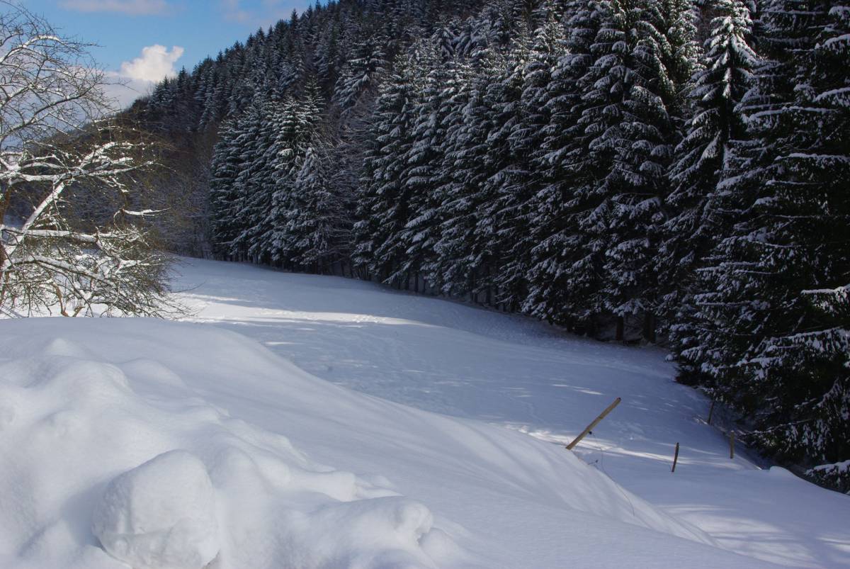 QUE LA MAGIE DE NOËL s&#8217;invite dans vos assiettes et dans vos cœurs Sainte-Marie-aux-Mines 12