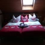 CHAMBRE AVEC WIFI GRATUIT Turckheim 0