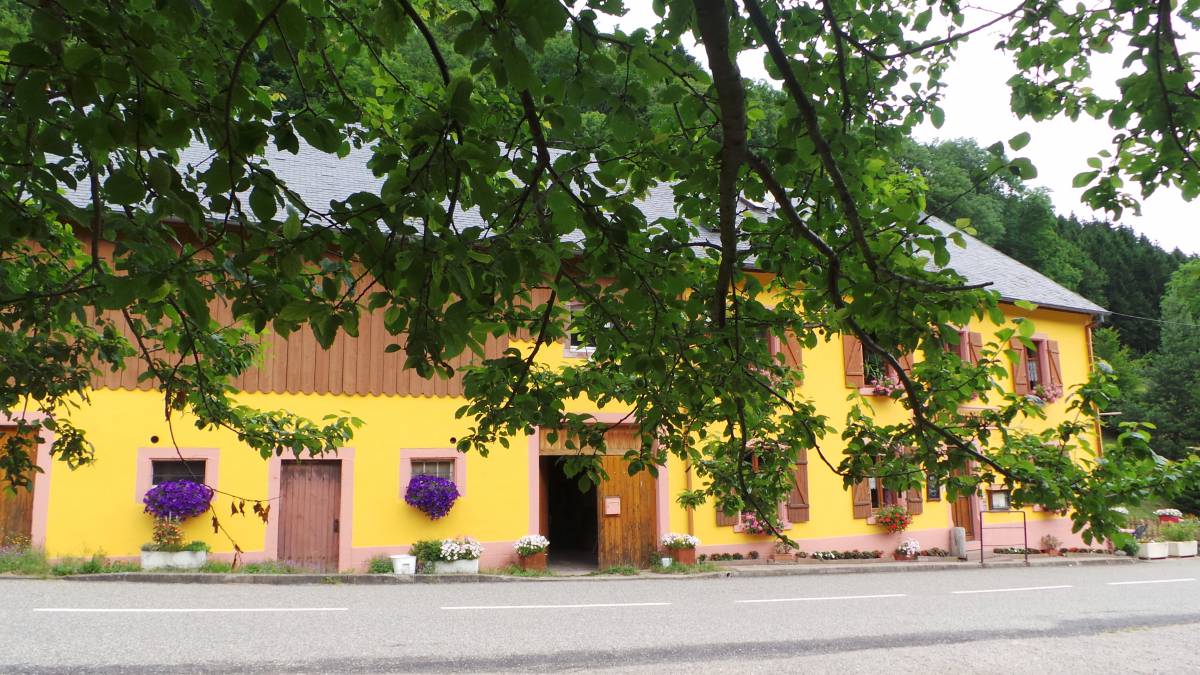 BIENVENUE A LA CANARDIERE&#8230;&#8230;.. Munster