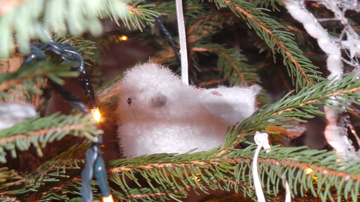 QUE LA MAGIE DE NOËL s&#8217;invite dans vos assiettes et dans vos cœurs Saint-Dié-des-Vosges 7