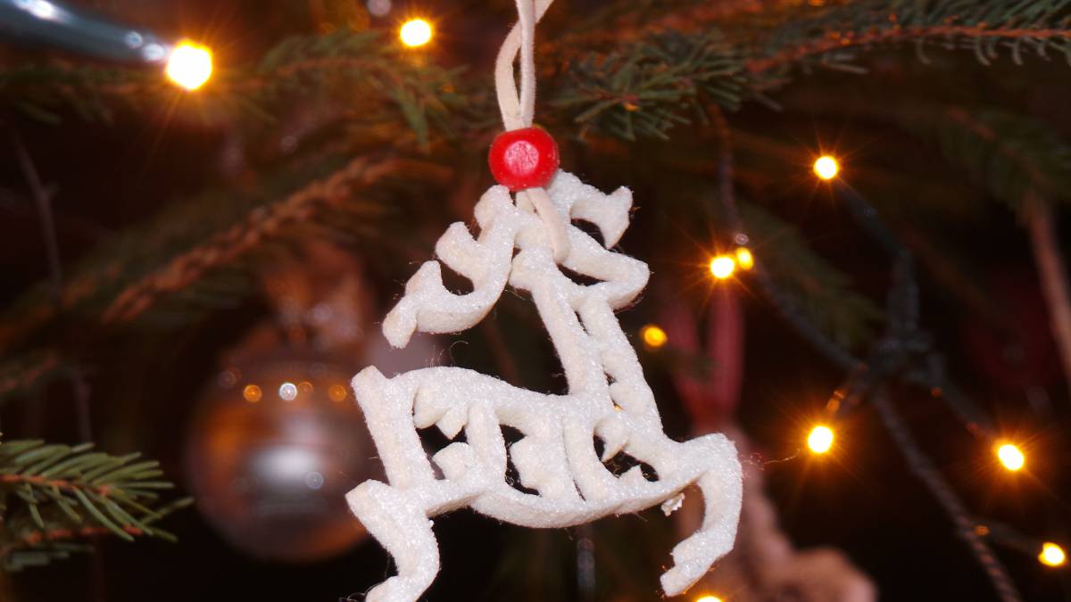 SUGGESTIONS DE NOËL (24/25/26 décembre) Anould 1