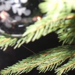 LE MENU DE NOËL Sainte-Marie-aux-Mines 1