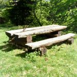 PROMENADE AU FORESTUM Sainte-Marie-aux-Mines 1