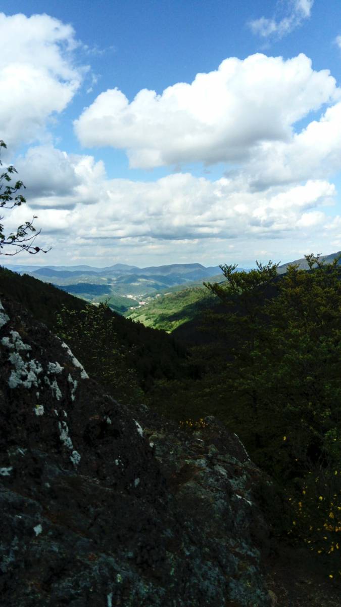 PROMENADE AU FORESTUM Munster