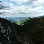 PROMENADE AU FORESTUM Sainte-Marguerite 4