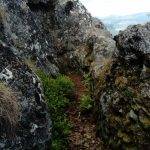 PROMENADE AU FORESTUM Anould 2