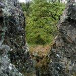 PROMENADE AU FORESTUM Turckheim 3