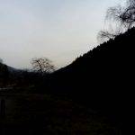 PROMENADE AU FORESTUM Munster 0