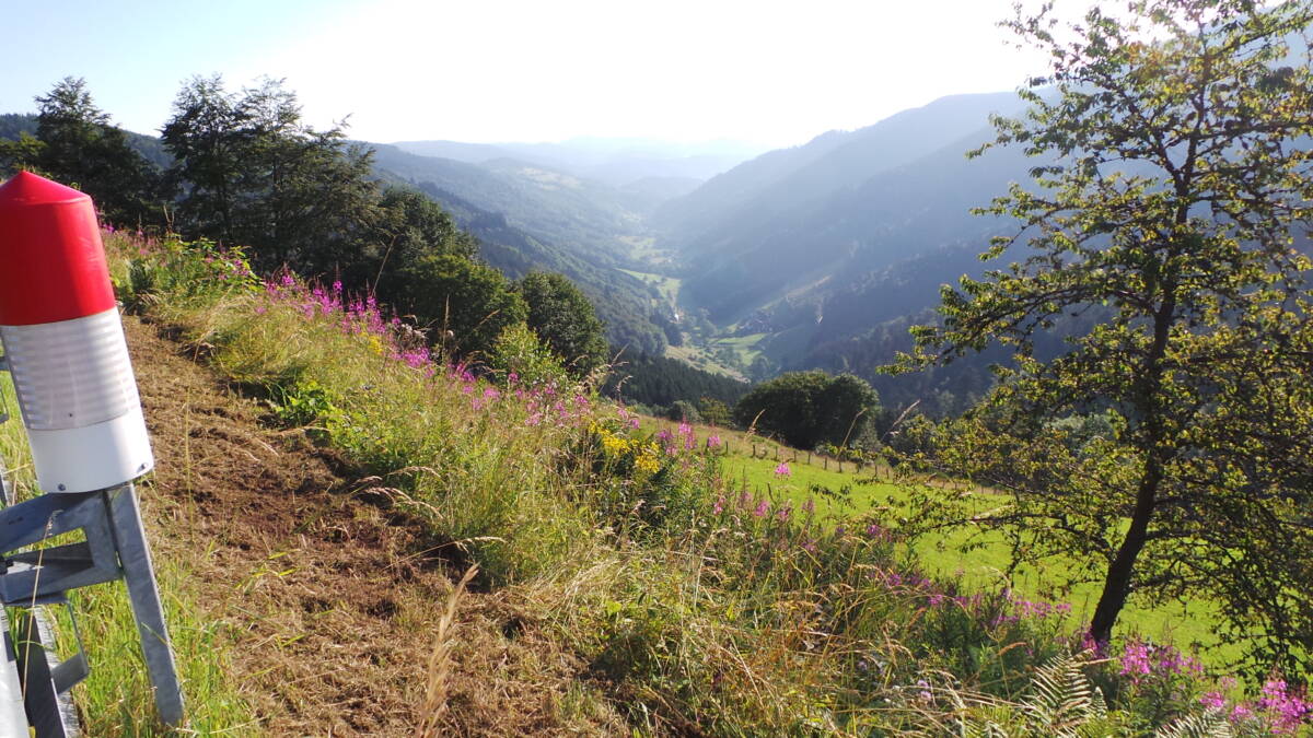 LES ÉVÈNEMENTS DU VAL-D&#8217;ARGENT Orbey